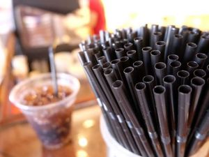 Anak Fast Food hingga Kaki Lima, Siapa Paling Semangat Antisedotan? Anak Fast Food hingga Kaki Lima, Siapa Paling Semangat Antisedotan?