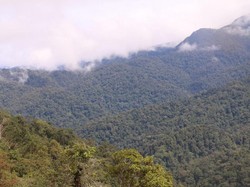Begini Beratnya Perjuangan Ranger Hutan Leuser Aceh Berpatroli