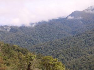 Begini Beratnya Perjuangan Ranger Hutan Leuser Aceh Berpatroli Begini Beratnya Perjuangan Ranger Hutan Leuser Aceh Berpatroli