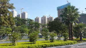 Foto: Nanning, Si Hijau Cantik dari China