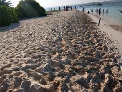 Pasir Sehalus Terigu di Pulau yang Tak Jauh dari Jakarta