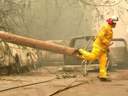 Tewaskan 31 Orang, Mengapa Kebakaran Hutan California Begitu Parah?