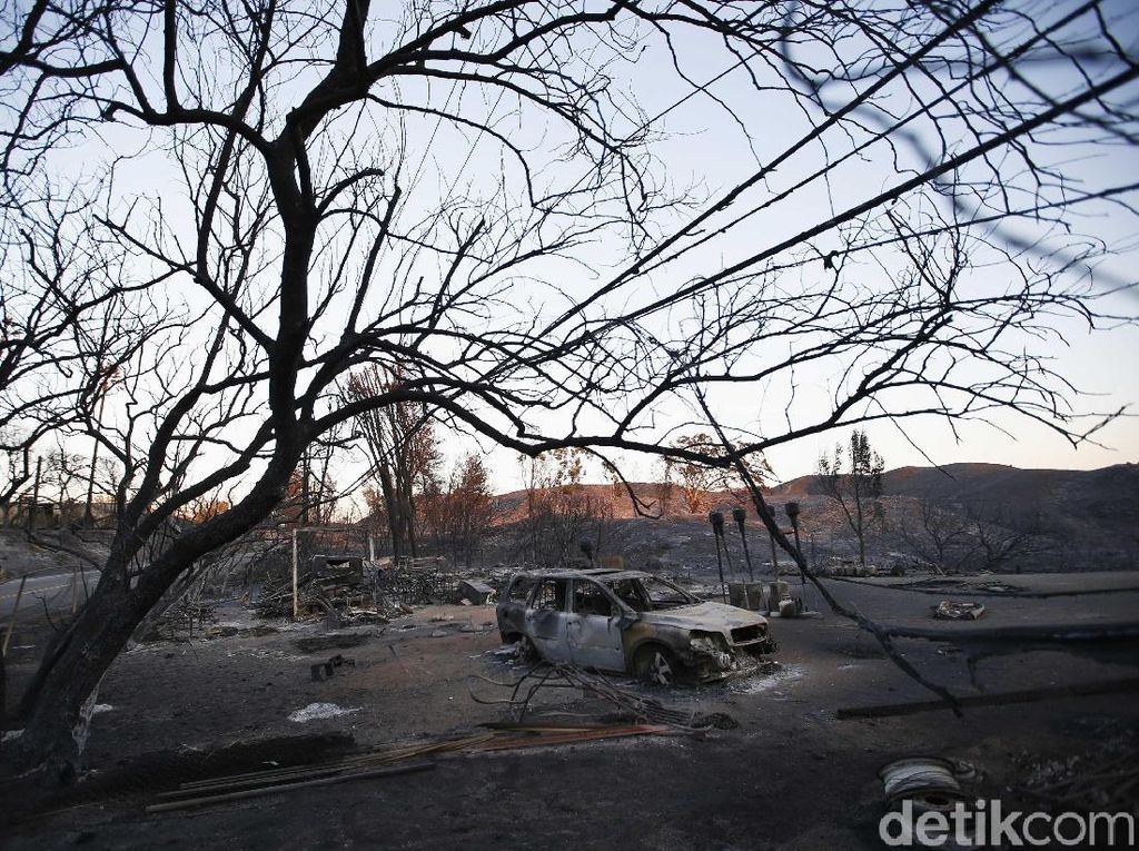 56 Orang Tewas dan 130 Lainnya Hilang Akibat Kebakaran Hutan AS