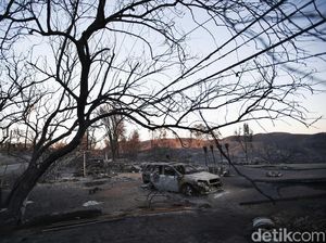 56 Orang Tewas dan 130 Lainnya Hilang Akibat Kebakaran Hutan AS 56 Orang Tewas dan 130 Lainnya Hilang Akibat Kebakaran Hutan AS