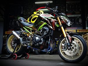 Modifikasi Moge ala Bunglon, Habis Rp 150 Juta!