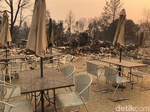 Wajah Gersang California Akibat Kebakaran Hutan