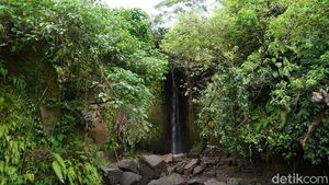 Foto: Air Terjun & Bunga Bangkai Unik di Bali