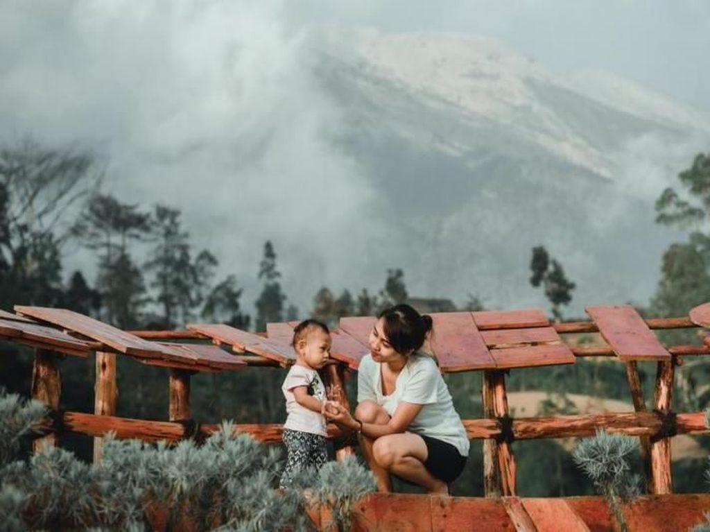 Taman Edelweiss, Destinasi Baru Instagramable di Bali Taman Edelweiss, Destinasi Baru Instagramable di Bali