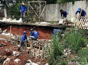 Puluhan Petugas Kebut Perbaikan Longsor di Setu Cipayung