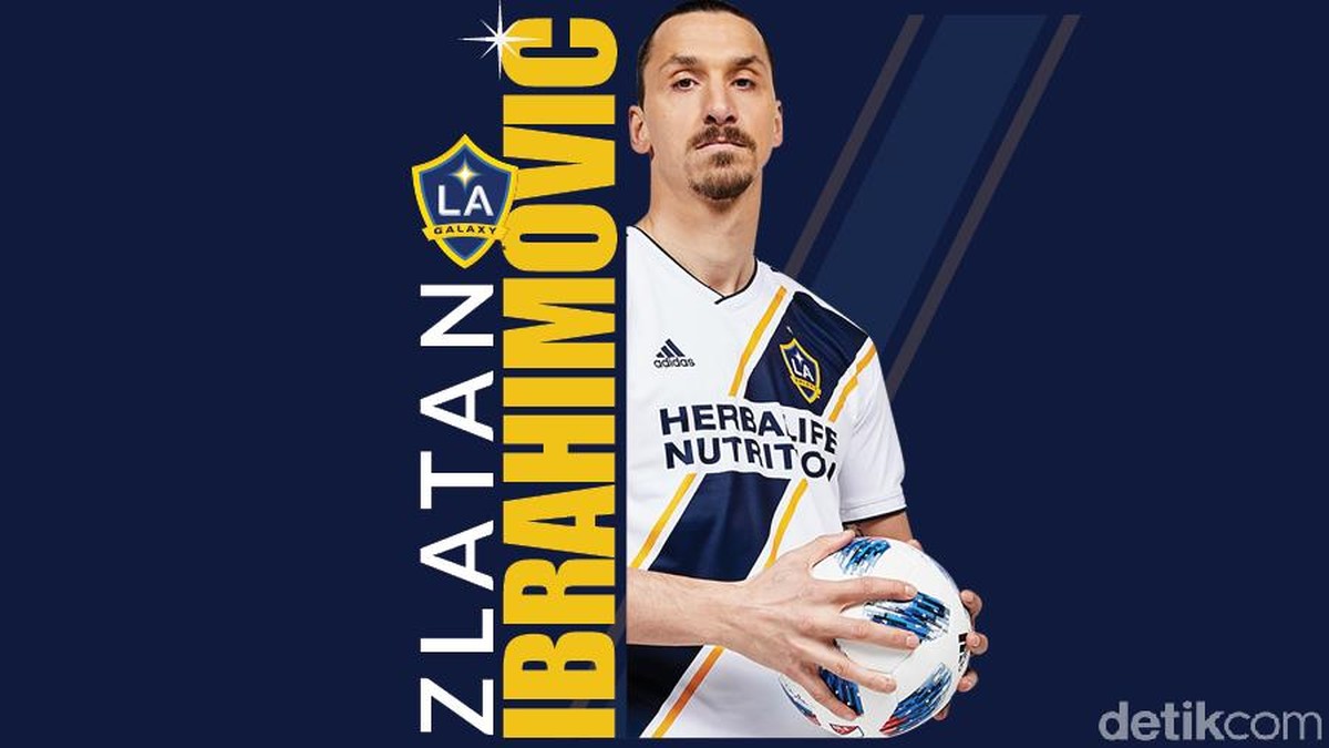 Infografis Zlatan Ibrahimovic yang terpilih jadi pendatang baru terbaik MLS 2018 (Andhika Akbarayansyah/detikSport)