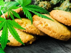 Akan Dibuka Bulan Depan, Restoran Pertama yang Sajikan Makanan dengan Ganja Akan Dibuka Bulan Depan, Restoran Pertama yang Sajikan Makanan dengan Ganja