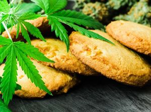 Akan Dibuka Bulan Depan, Restoran Pertama yang Sajikan Makanan dengan Ganja Akan Dibuka Bulan Depan, Restoran Pertama yang Sajikan Makanan dengan Ganja