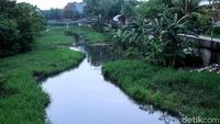 Belum Direvitalisasi, Kali Cisadane Sering Meluap di Musim Hujan