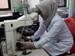 Sudah Bertaraf Internasional, Lab Karantina Makin Terpercaya