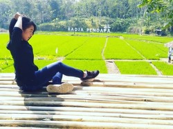 Di Kendal, Ada Camping Semalam untuk Penggila Seni Musik