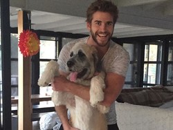 Miley Punya Pacar Baru, Liam Hemsworth Mulai Buka Hati