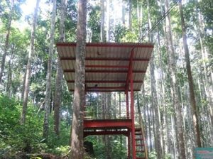 Potret Berbagai Sisi Hutan Wisata Meranti