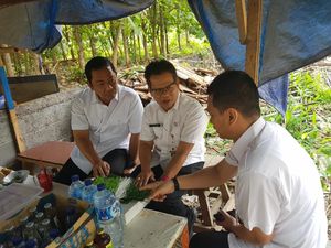 Percantik Lapangan Bola, Ini yang Dilakukan Wali Kota Semarang