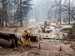 Korban Tewas Akibat Kebakaran di California Jadi 81 Orang, 870 Hilang