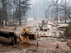 Usai 2 Minggu, Kebakaran Hutan California Berhasil Dipadamkan Usai 2 Minggu, Kebakaran Hutan California Berhasil Dipadamkan