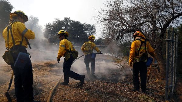 Petugas Damkar Terus Berjibaku Padamkan Api di California