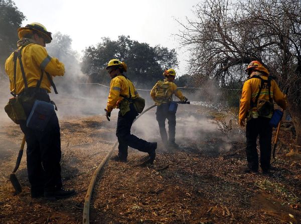 Petugas Damkar Terus Berjibaku Padamkan Api di California