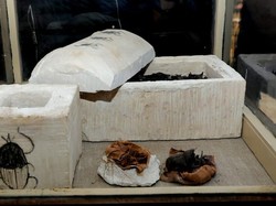 Mumi Kucing dan Kumbang Berumur 6.000 Tahun Ditemukan