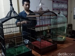 Gara-gara Burung, Pria di Pekalongan Ini Terancam Bui 6 Tahun