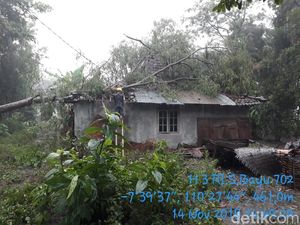 Hujan Deras di Sleman, Pohon Tumbang Timpa Rumah dan Travo