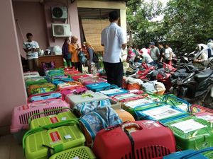 Kucing-kucing Jakarta Dikebiri atas Kerelaan Pemilik Kucing-kucing Jakarta Dikebiri atas Kerelaan Pemilik