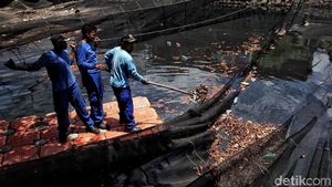 Potret Pembongkaran Waring Topeng Kali Item