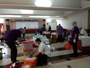 Ratusan Kucing di Jakarta Dikebiri untuk Cegah Rabies, Anjing Kapan? Ratusan Kucing di Jakarta Dikebiri untuk Cegah Rabies, Anjing Kapan?