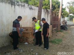 Heboh Penemuan Bayi Laki-laki Dikerubuti Semut Masih Hidup