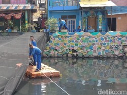 Waring Kali Item yang Bolong-bolong dan Penuh Sampah Dibongkar