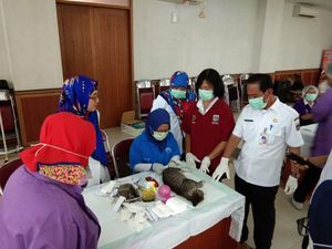 Ratusan Kucing di Jakarta Dikebiri karena Ledakan Populasi Ratusan Kucing di Jakarta Dikebiri karena Ledakan Populasi