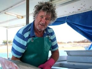 Konsumsi Hiu Didorong di Australia untuk Kurangi Serangan Hiu Konsumsi Hiu Didorong di Australia untuk Kurangi Serangan Hiu