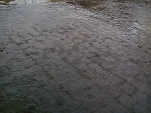 Hujan Lebat, 2 SD Denpasar Tergenang