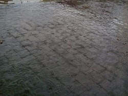 Hujan Lebat, 2 SD Denpasar Tergenang