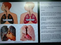 Viral! Ramuan Pembersih Paru-paru bagi Perokok, Benar Bisa Nggak Sih?