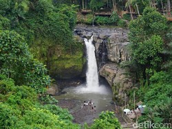 Air Terjun Blangsinga Bali: Sejarah, Lokasi, dan Harga Tiketnya