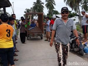 Harimau Terjebak di Kolong Ruko Sempat Keluar tapi Balik Lagi Harimau Terjebak di Kolong Ruko Sempat Keluar tapi Balik Lagi