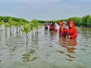 Pantai Bahagia yang Hampir Hilang oleh Abrasi Pantai Bahagia yang Hampir Hilang oleh Abrasi