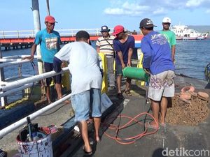 Jelang Libur Akhir Tahun, ASDP Ketapang Lakukan Perbaikan Dermaga