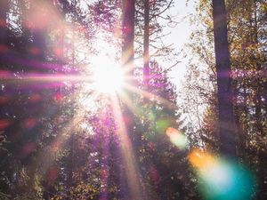 Mengejar Flare