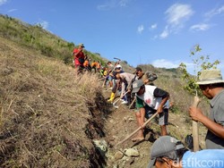 Minimalisir Longsor di Trenggalek, Warga Tutup Retakan Tanah
