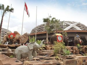 Unik Banget, Tamu Disambut Unta dan Gajah di Lobi Resor Ini