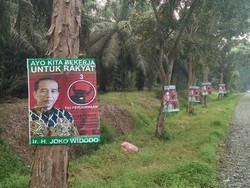 Timses Telusuri Pemasang Poster Jokowi di Medan yang Dipaku di Pohon