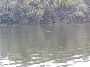 Penampakan Buaya di Bengawan Solo, Warga Diminta Tak Dekati Sungai