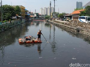 Eceng Gondok di Kali Sentiong Eceng Gondok di Kali Sentiong