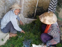 Liburan Murah ke 3 Nusa di Bali